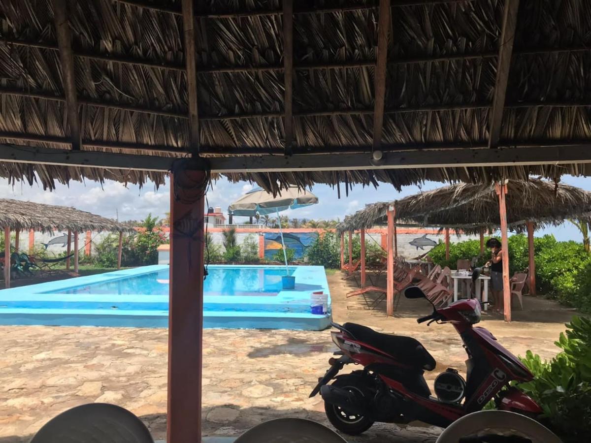 Han Hm Arenas Del Mar